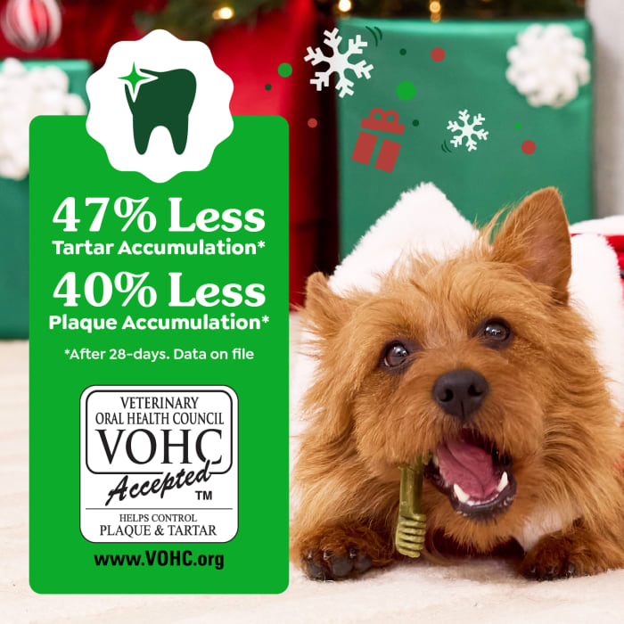 10412365_GRE_Dog_Dental_Regular_Gingerbread_6ct_Claim3.jpg