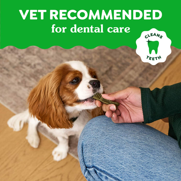 10412367_Greenies_Dental_Petite_GB_6oz_claims3.jpg