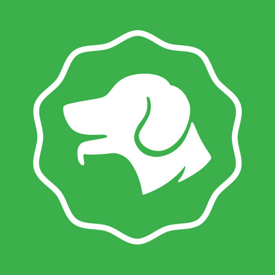 dog icon - support positive behavior