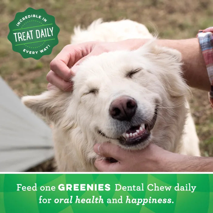 GREENIES Regular Natural Dog Dental Care Chews Oral Health Dog Treats Fresh Flavor 12 oz. Pack 12 Treats