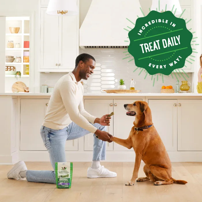 [Greenies][GREENIES Sweet Potato Flavored Large Dental Treats, 8 Count][Enhanced Image Position 19]