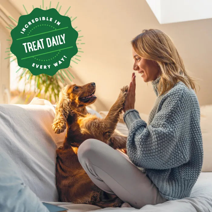 [Greenies][GREENIES Sweet Potato Flavored Petite Dental Treats, 20 Count][Enhanced Image Position 19]