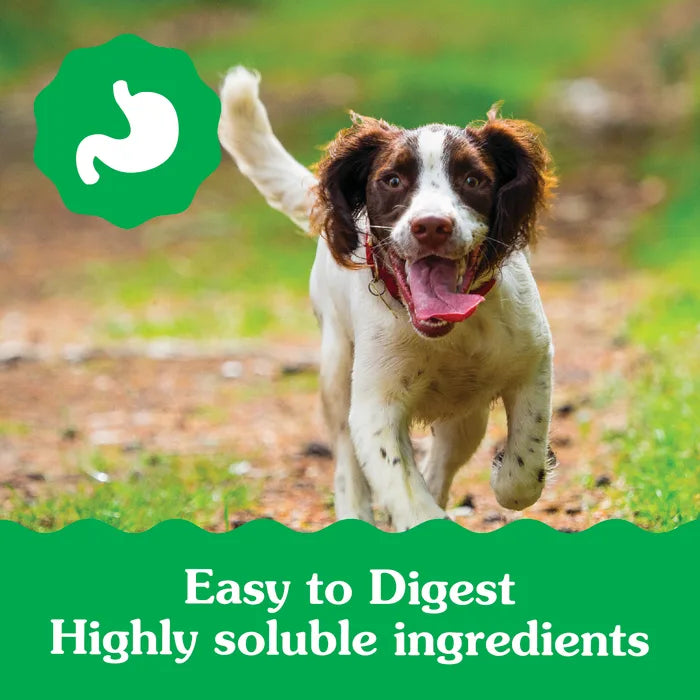 [Greenies][GREENIES Puppy Regular Dental Treats, 12 Count][Enhanced Image Position 6]