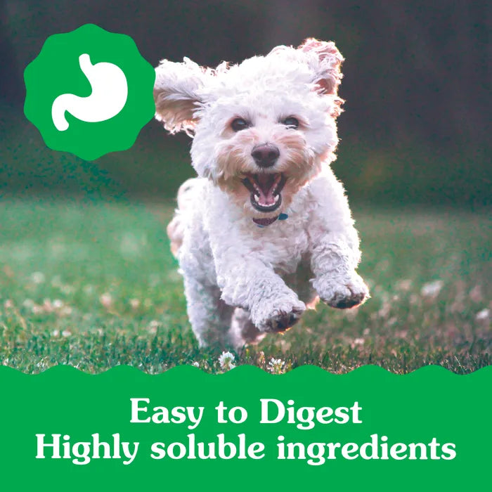 [Greenies][GREENIES Puppy TEENIE Dental Treats, 43 Count][Enhanced Image Position 6]