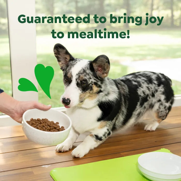 Greenies lil bits clearance