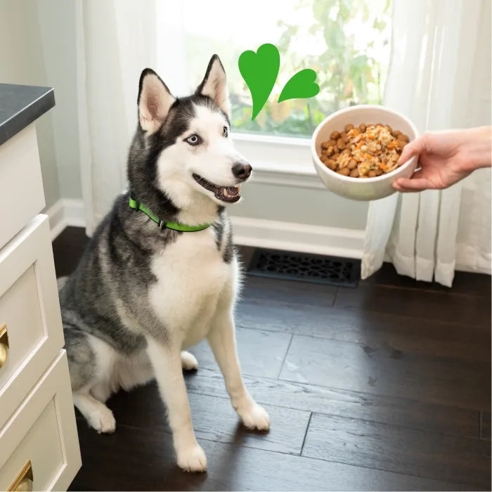[Greenies][Greenies Smart Topper Wet Mix-In for Dogs, Chicken, Beef, Sweet Potatoes, Potatoes & Spinach Recipe, 2 oz. Tray][Enhanced Image Position 20]