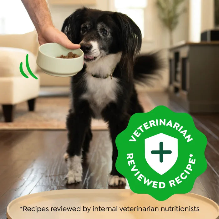 [Greenies][Greenies Smart Essentials Adult High Protein Dry Dog Food Real Chicken & Rice Recipe, 6 lb. Bag][Enhanced Image Position 20]