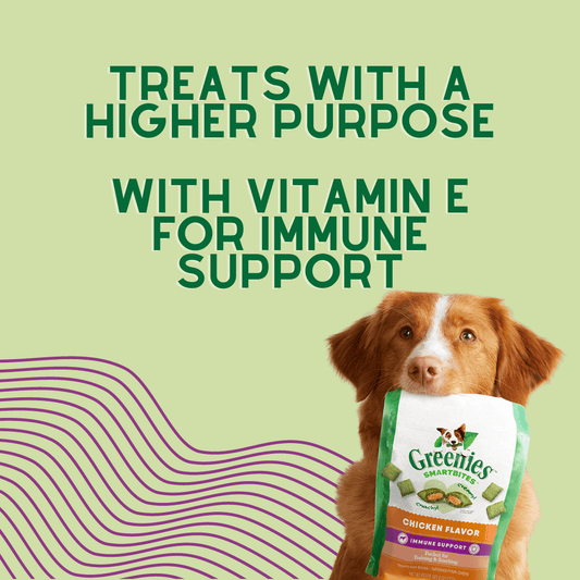 Treats with a higher purpose, with vitamin e for immune support. Dog holding canine smartbites in mouth