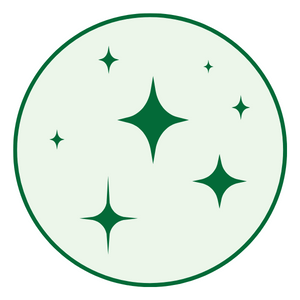 Shiny Icon