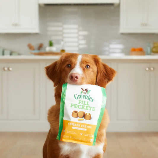 Walmart pill pockets for dogs hotsell