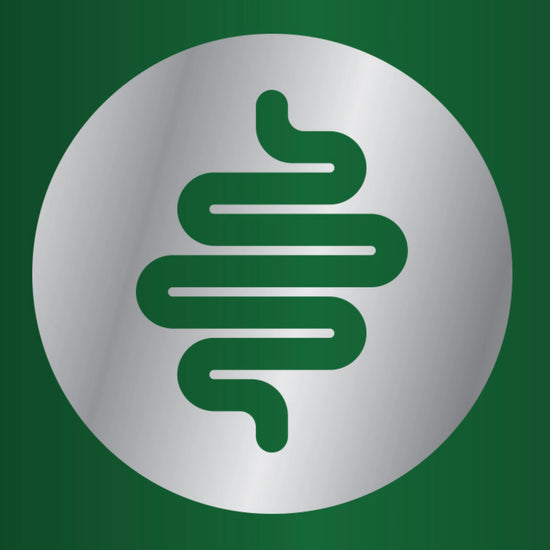promotes digestive health icon
