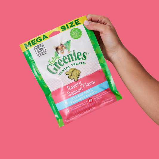 A bag of Greenies Feline Dental Treats in Savory Salmon Flavor