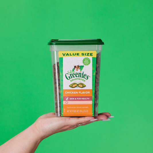 hand holding a plastic container of Greenies Feline Smartbites in Chicken Flavor in front of a green background