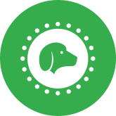 green circle with dog inside