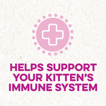 Helps support your kitten's immune system