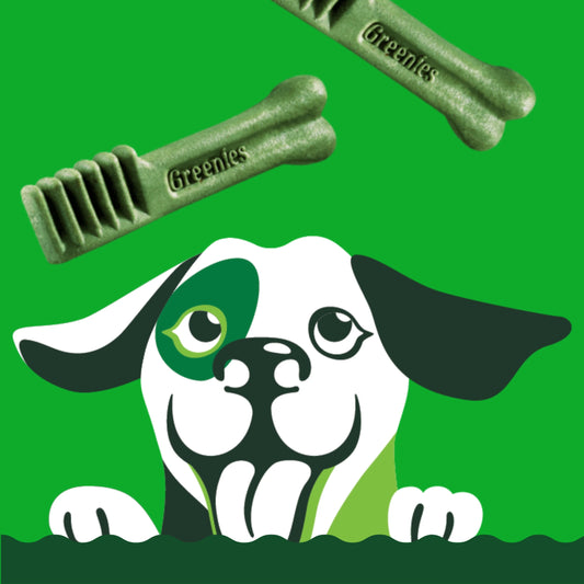 GREENIES Leif character dog illustration on a green background with GREENIES bones