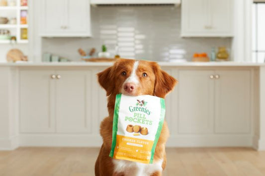Dog with a bag of GREENIES PILL POCKETS in its mouth