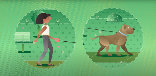 Load video: Bad training advice from GREENIS: Train Your Dog to Walk Wrong