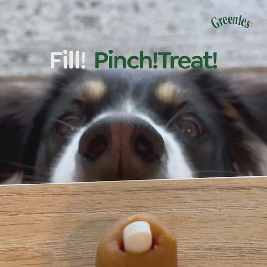 Video of a dog eating a Greenies Pill Pocket