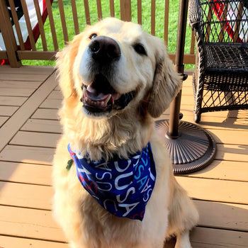 golden retriever dog outside with a USA bandana