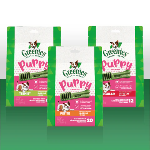 10171902_Greenies_DT_Puppy_OG_Regular_12_family_480x480