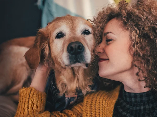 Senior dog with owner