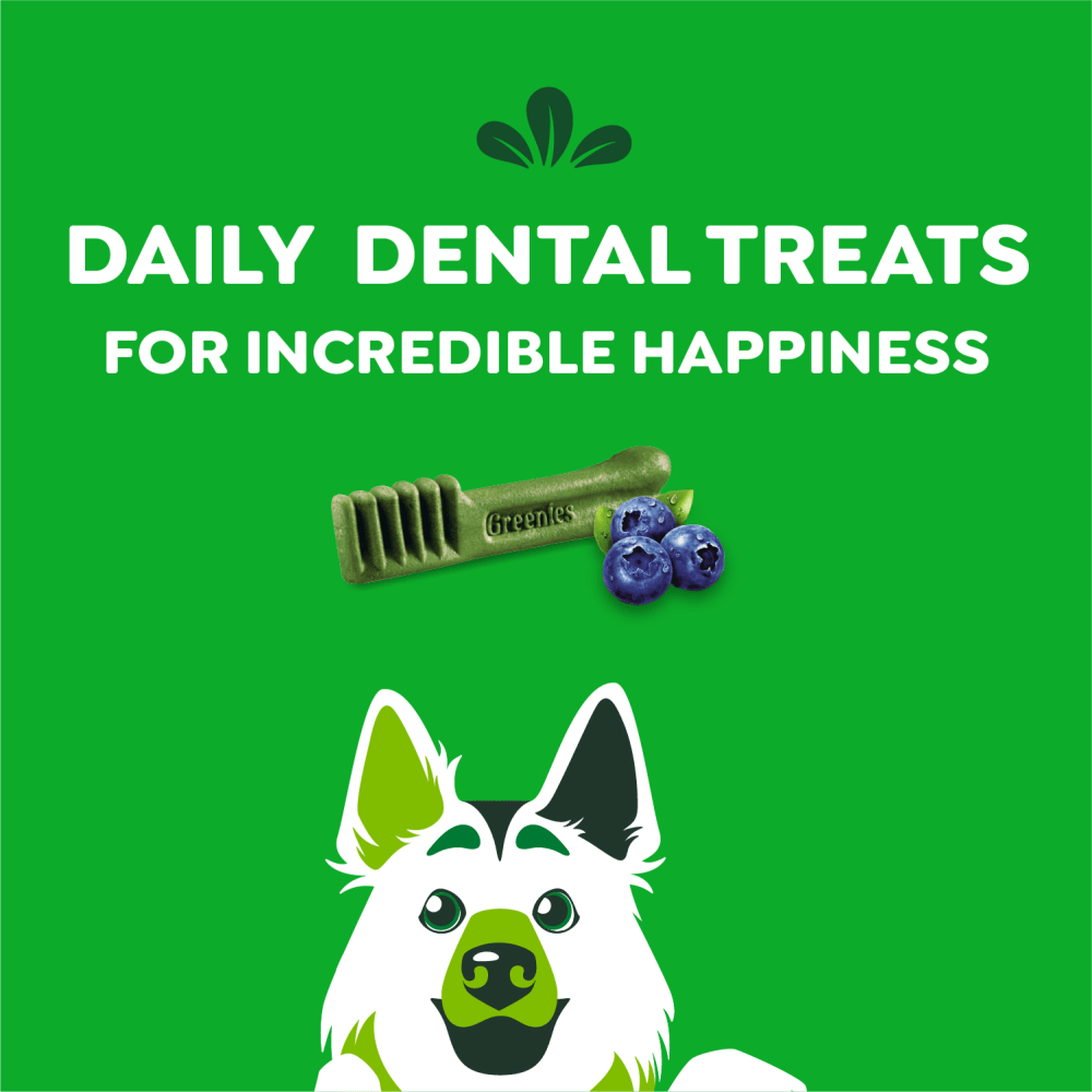 Adult Dental Dog Treats Large Size Blueberry feeding guidelines image