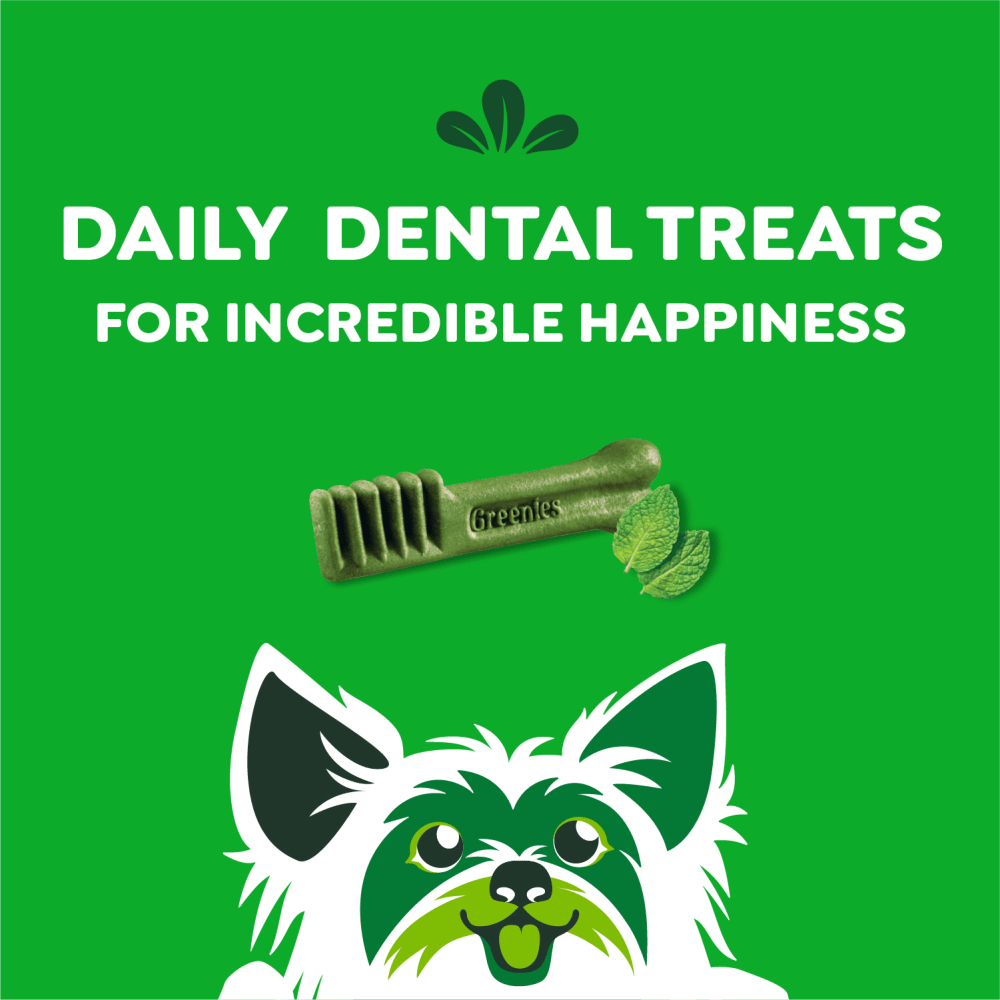 Adult Dental Dog Treats Teenie Size Fresh Flavor feeding guidelines image