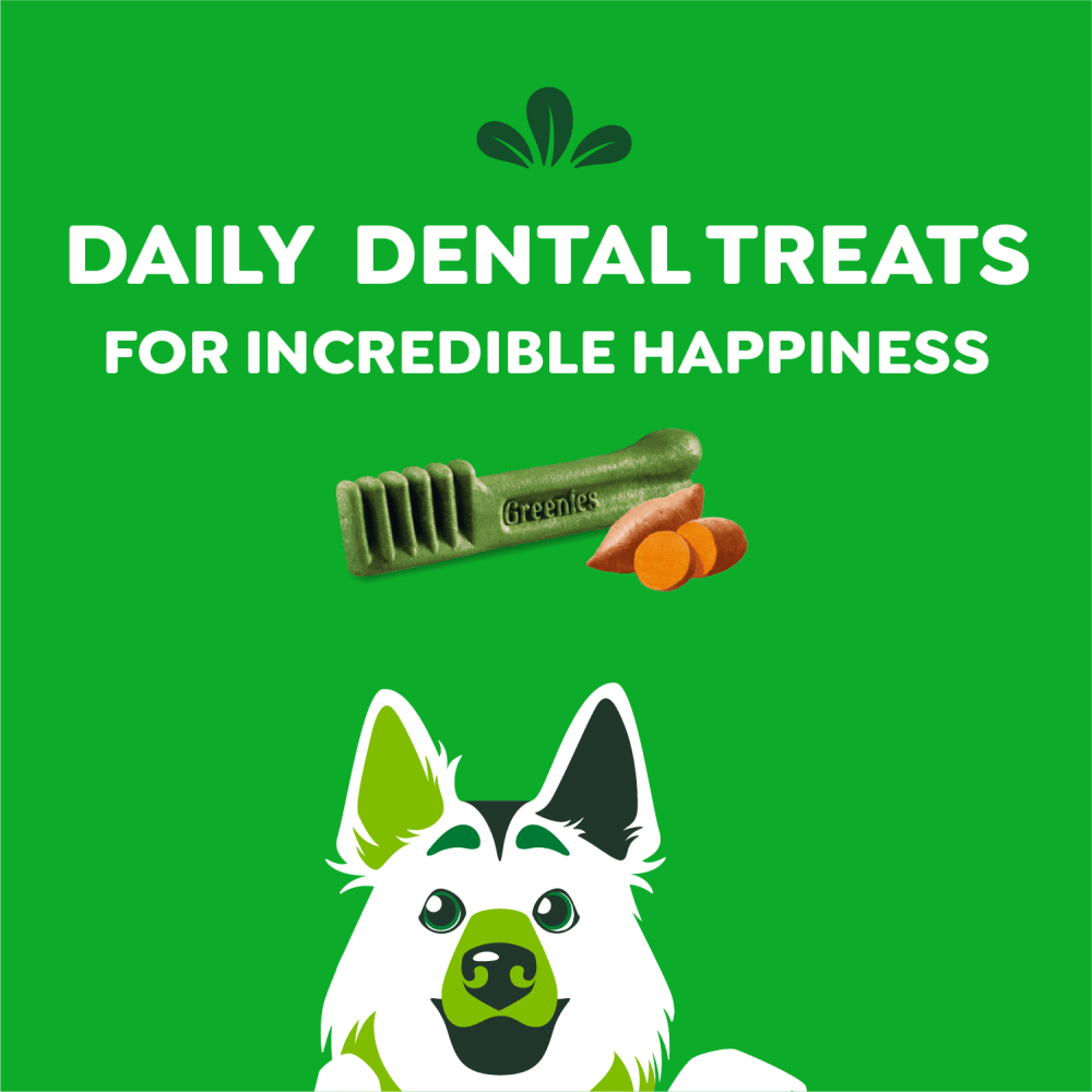 Adult Dental Dog Treats Large Size Sweet Potato feeding guidelines image