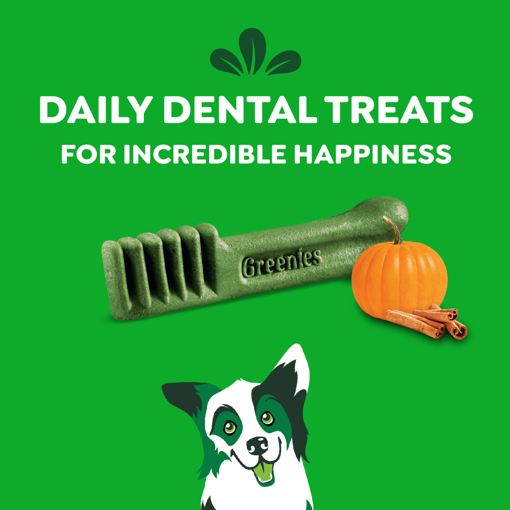 Adult Dental Dog Treats Regular Size Pumpkin Spice feeding guidelines image