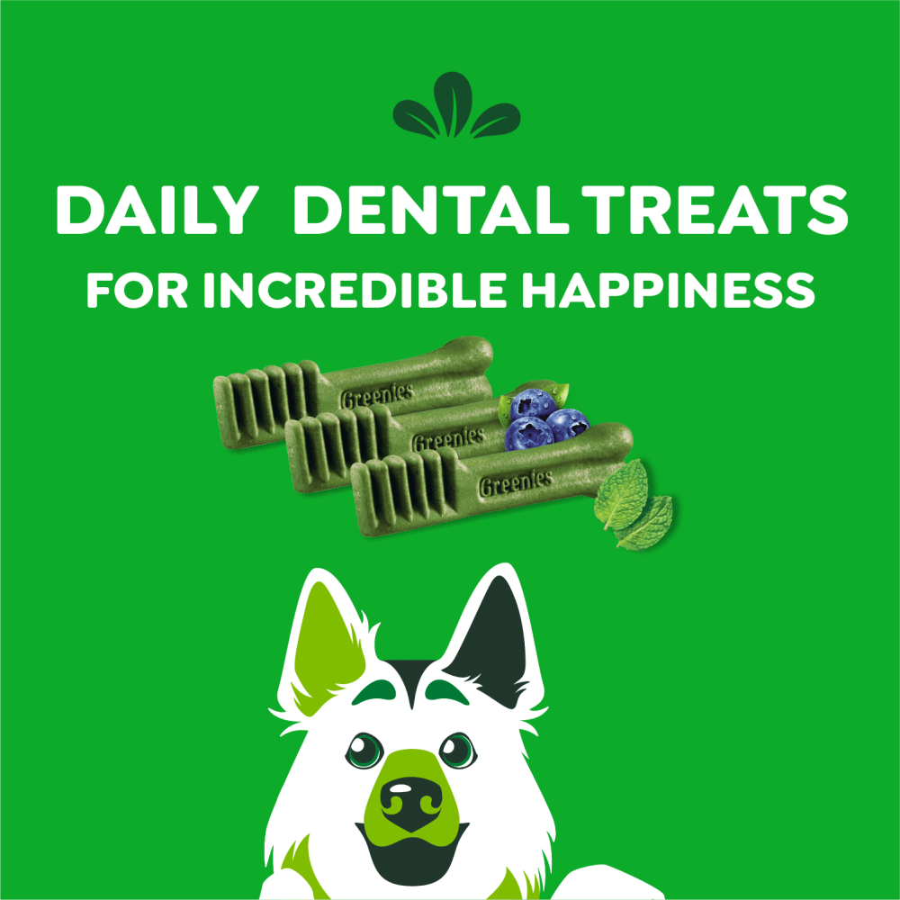 Adult Dental Dog Treats Large Size Variety Pack Original Sweet Potato Blueberry feeding fuidelines image 1