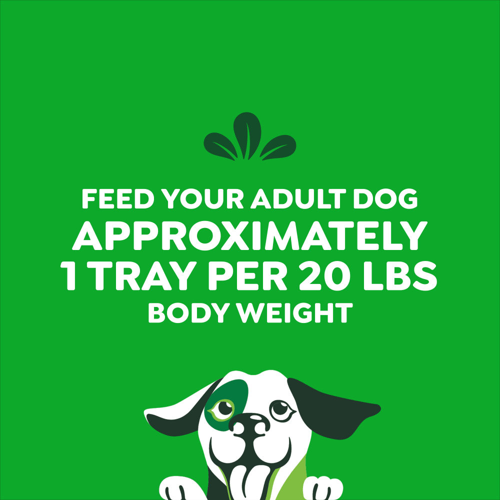 Smart Topper Wet Dog Food Beef, Peas & Carrots feeding guidelines image