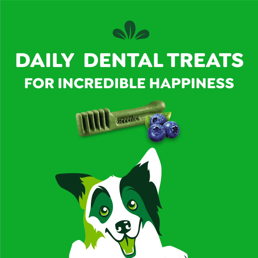 Adult Dental Dog Treats Regular Size Blueberry feeding guidelines image