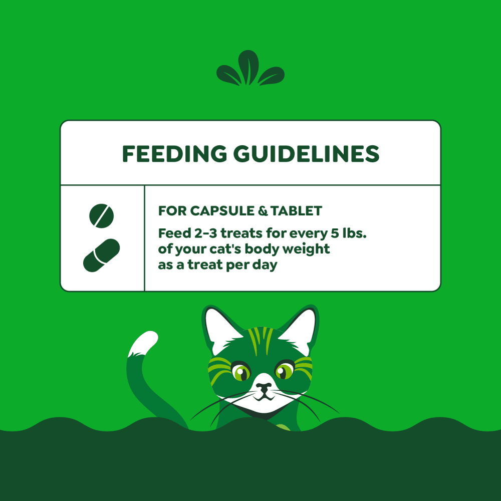 Feline PILL POCKETS Salmon Flavor Cat Treats feeding guidelines image