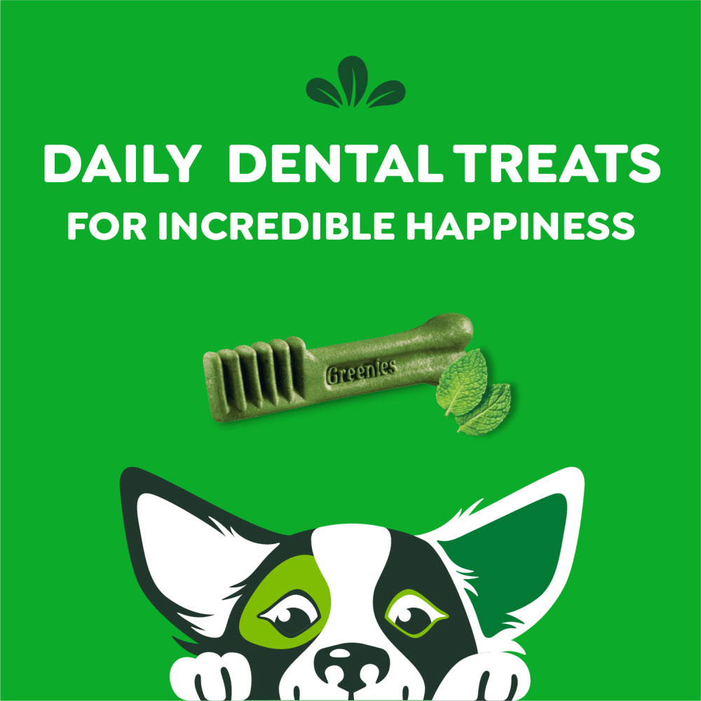Adult Dental Dog Treats Petite Size Fresh Flavor feeding guidelines image