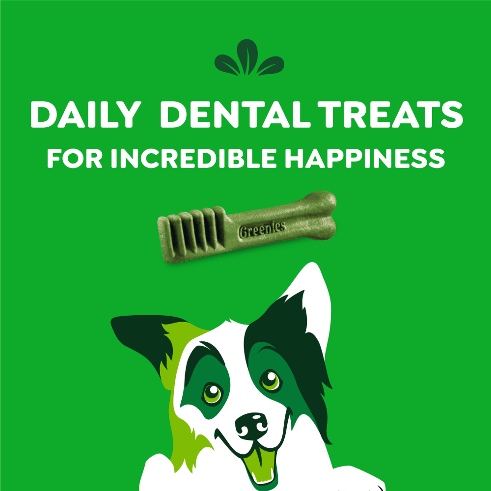 Adult Dental Dog Treats Regular Size Variety Pack Original Blueberry Sweet Potato feeding fuidelines image 1
