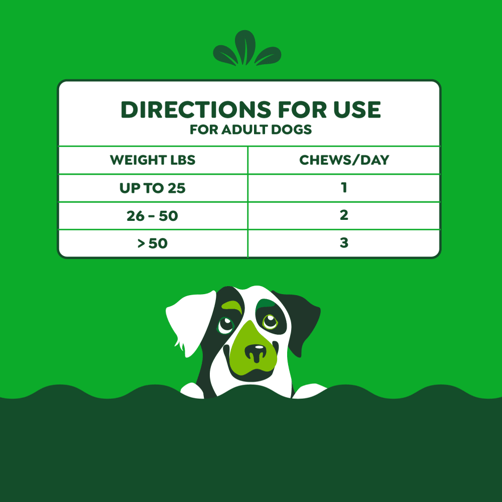 Calming Chews for Dogs Supplements Chicken feeding guidelines image