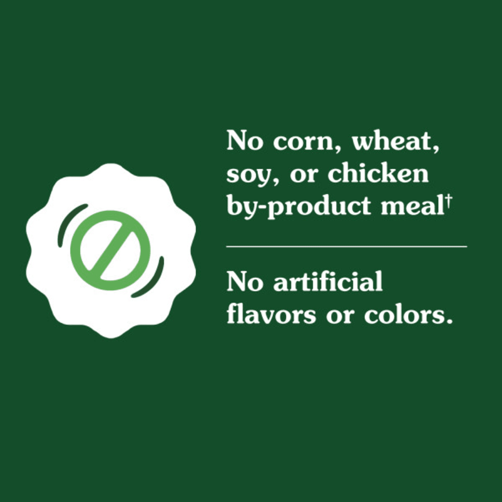 Smart Essentials Adult High Protein Dry Dog Food Chicken & Rice guaranteed analysis image