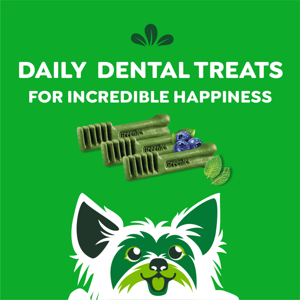 Adult Dental Dog Treats Teenie Size Variety Pack Original, Fresh, Blueberry feeding fuidelines image 1