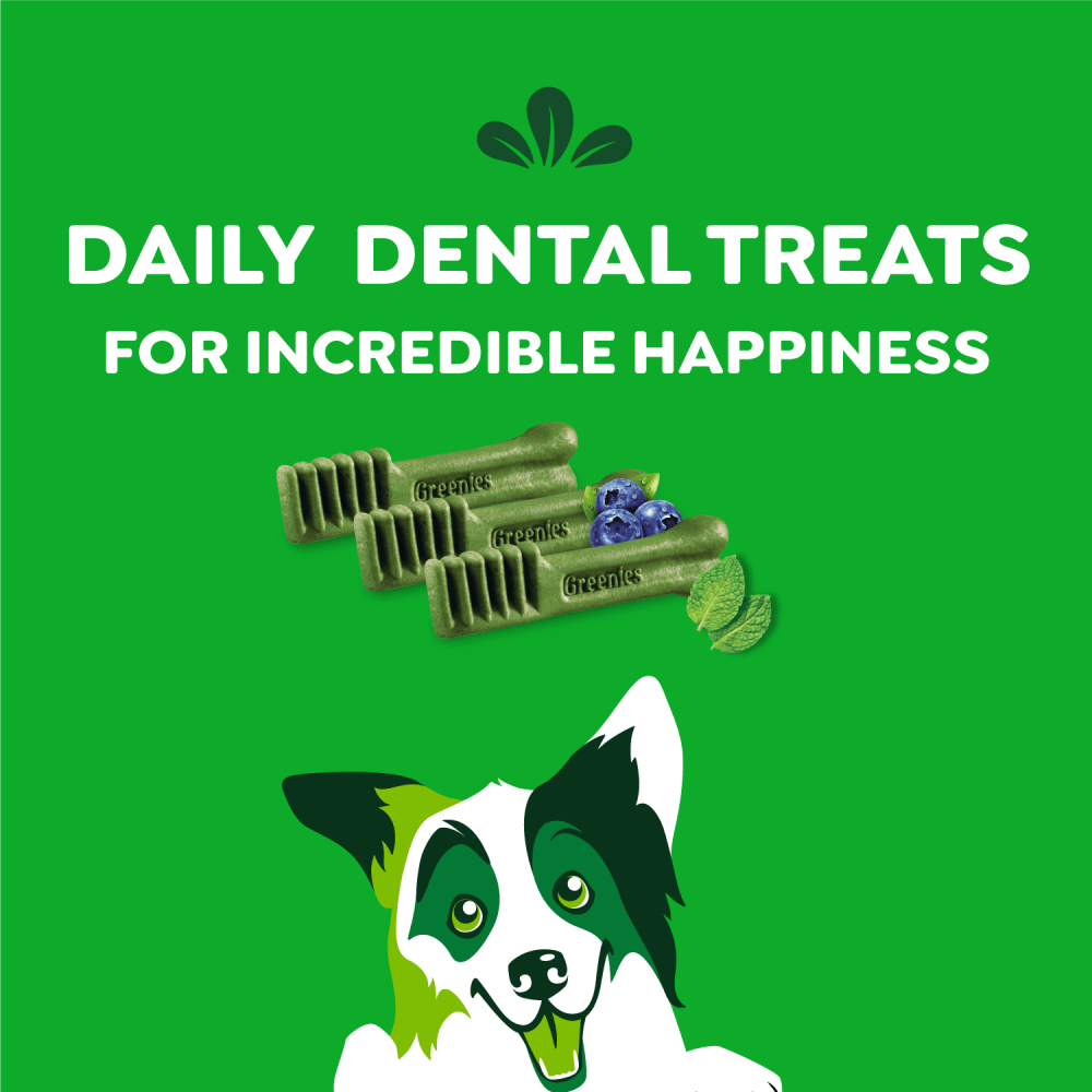Adult Dental Dog Treats Regular Size Variety Pack Original, Fresh, Blueberry feeding fuidelines image 1