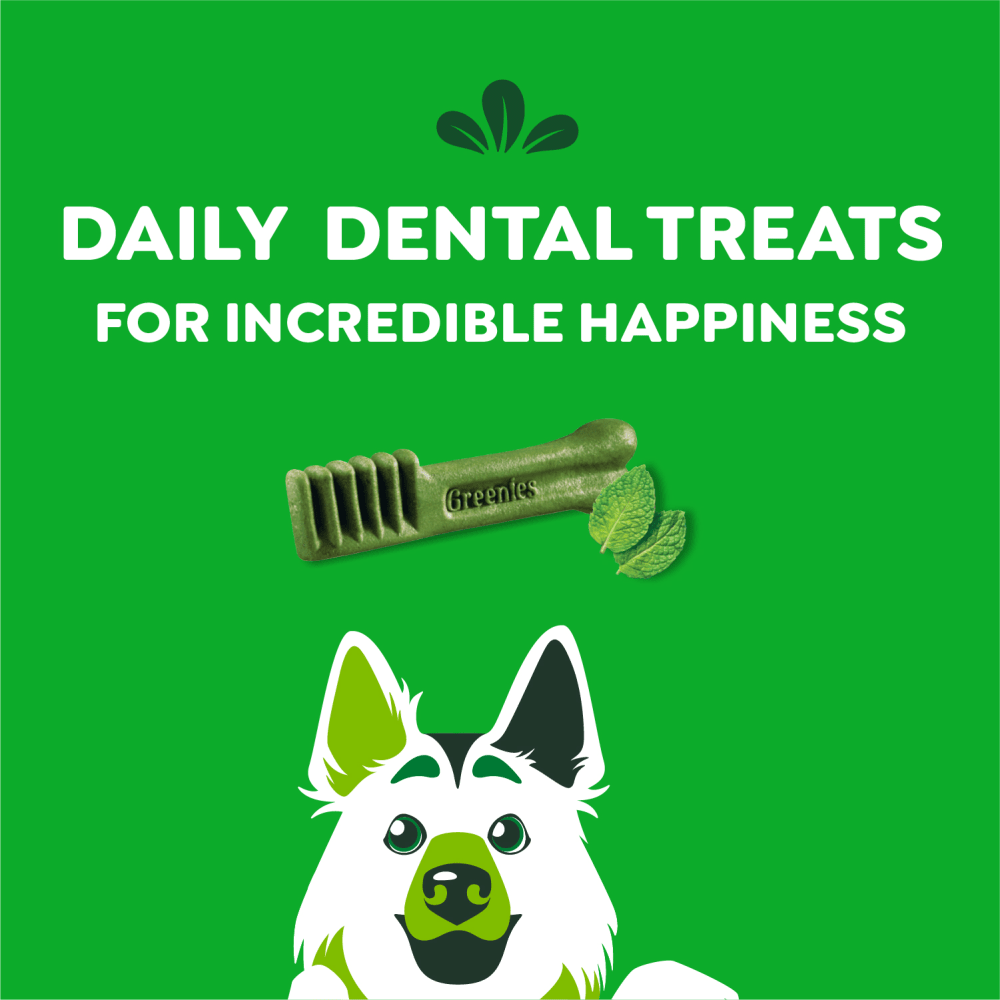 Adult Dental Dog Treats Large Size Fresh feeding guidelines image