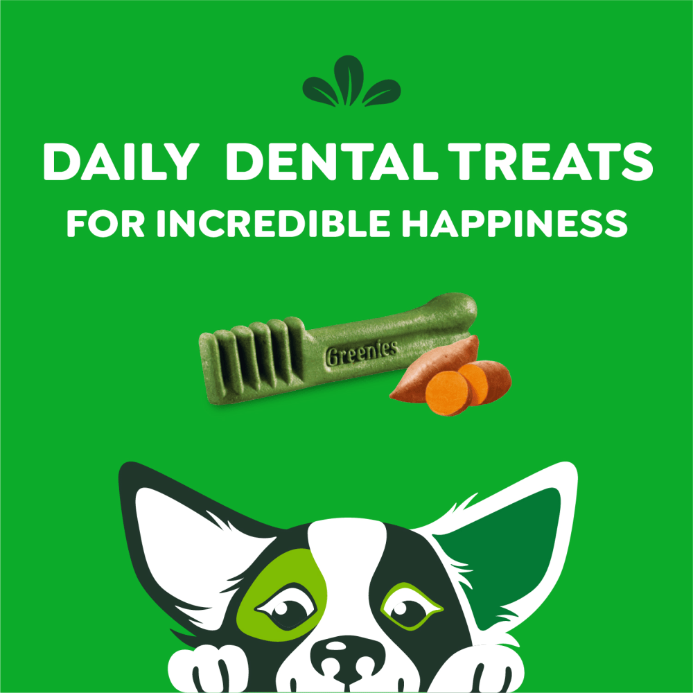 Adult Dental Dog Treats Petite Size Sweet Potato feeding guidelines image