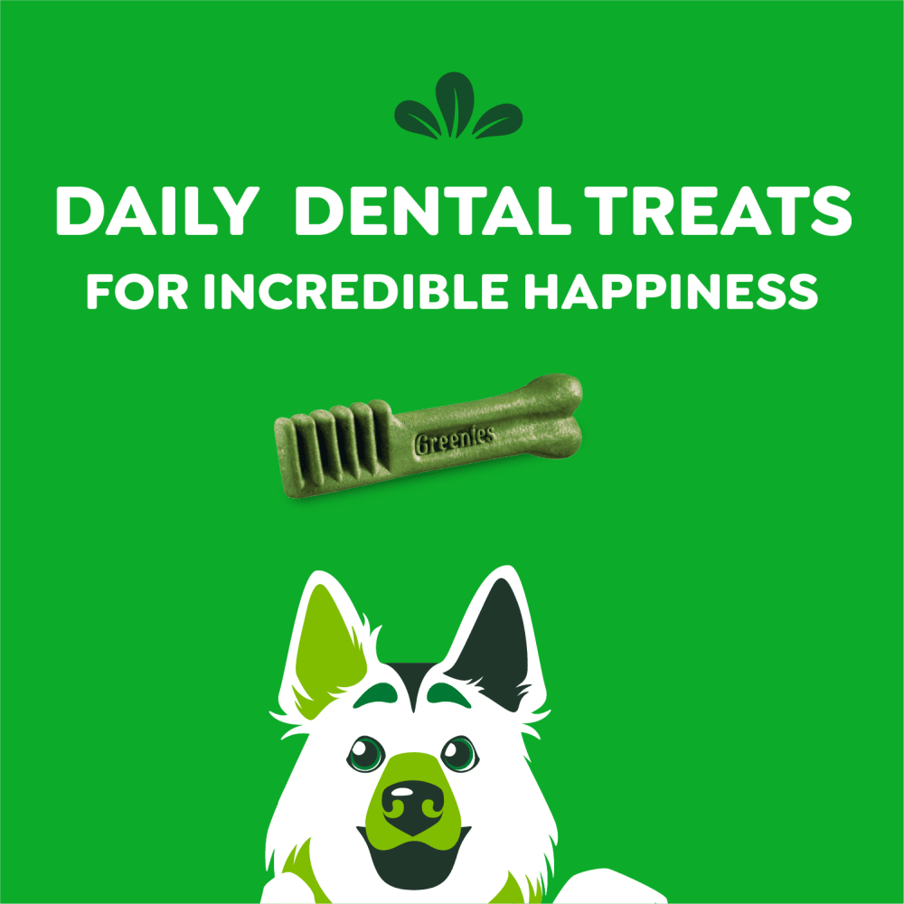 Adult Dental Dog Treats Large Size Blueberry feeding guidelines image