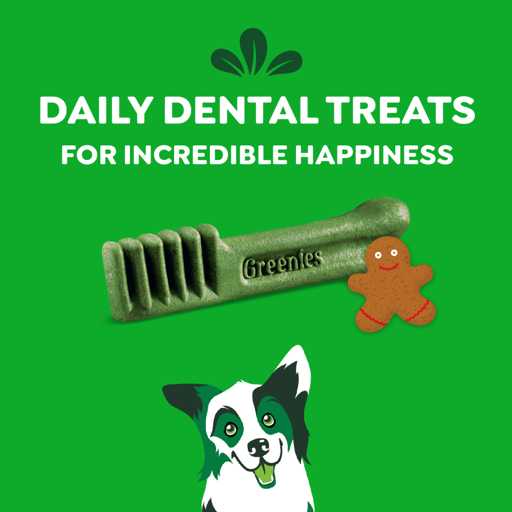 Adult Dental Dog Treats Regular Size Gingerbread feeding guidelines image