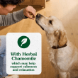 Calming Chews for Dogs Supplements Chicken benefits image 2