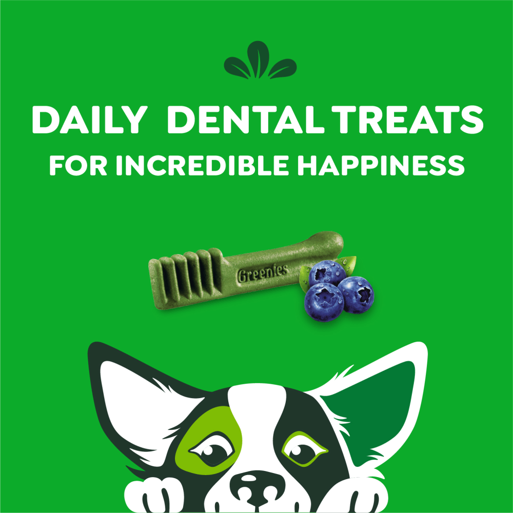 Adult Dental Dog Treats Petite Size Blueberry feeding guidelines image
