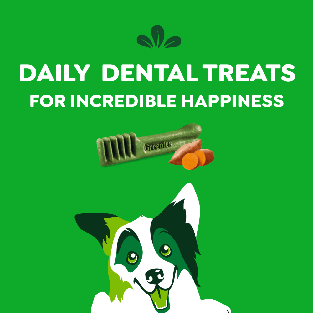 Adult Dental Dog Treats Regular Size Sweet Potato feeding guidelines image
