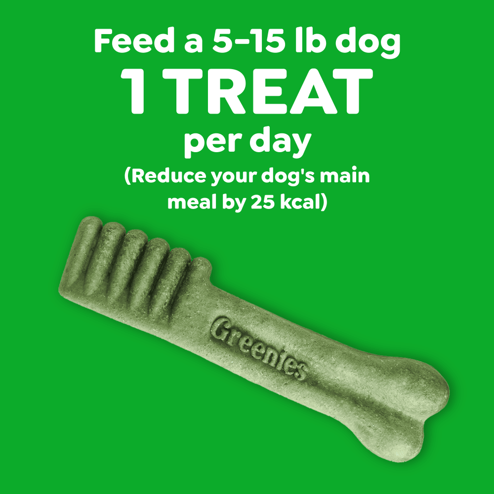 Greenies Adult Dental Dog Treats Teenie Size, Blueberry Flavor, 130 Count feeding guidelines image