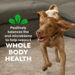 Greenies Adult Dental Dog Treats Large Size, 2 Flavors, 54 oz Variety Pack, 34 Ct benefits image 3