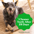 Adult Dental Dog Treats Regular Size Original and Fresh benefits image 2